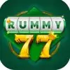 Rummy 77 icon
