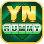 YN Rummy icon